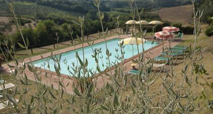 Paterno 407 in San Gimignano