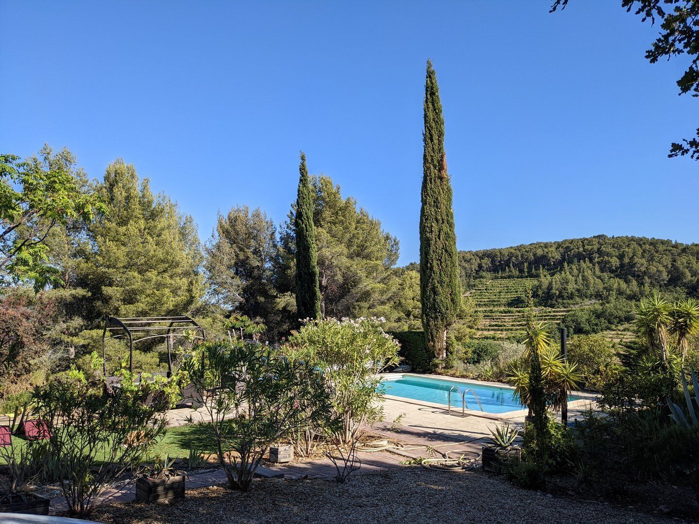 Una piscina rodeada por un jardín con diversas plantas y árboles, con un paisaje montañoso de fondo.