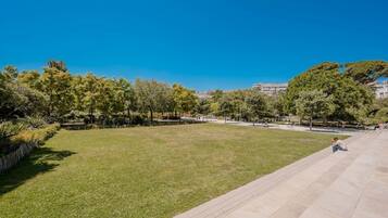 Um parque amplo com área gramada, árvores e um caminho pavimentado.