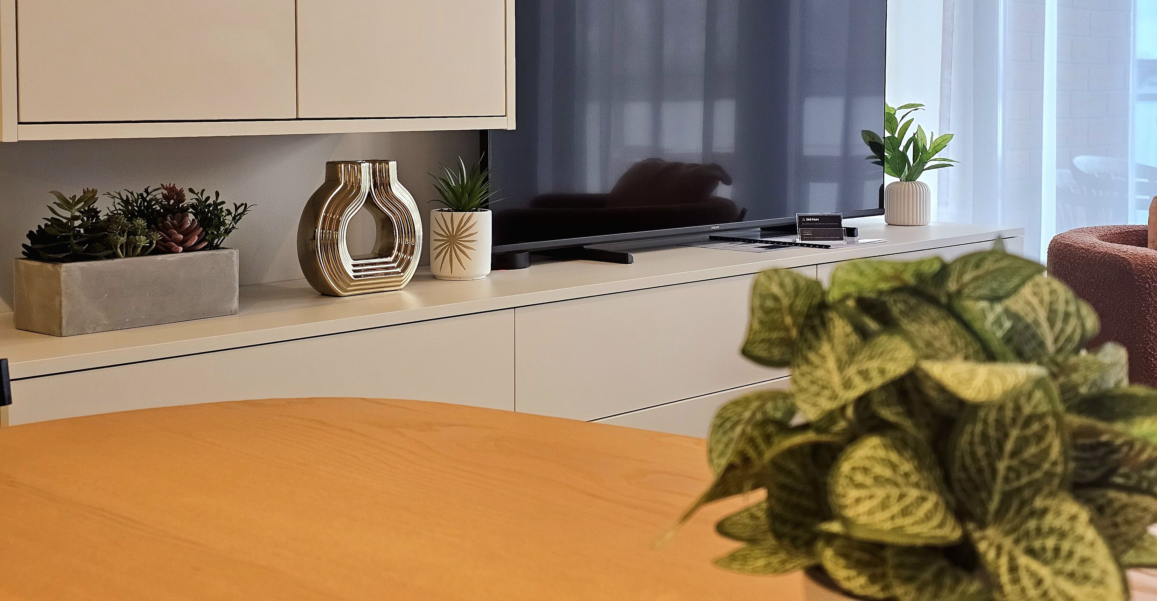 A modern living room with a flat-screen TV, a coffee table, and decorative plants.