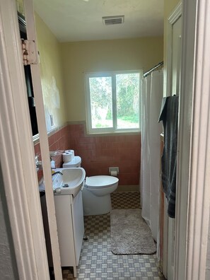 A bathroom with a toilet, sink, and window.