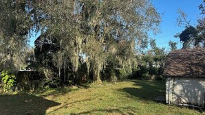 Un patio trasero con un cobertizo pequeño, rodeado de árboles y césped.