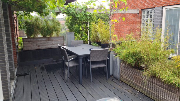 A patio with a table and chairs, surrounded by plants and a brick wall. - Clean bed & breakfast with roofterrace in Amsterdam! (Amsterdam)