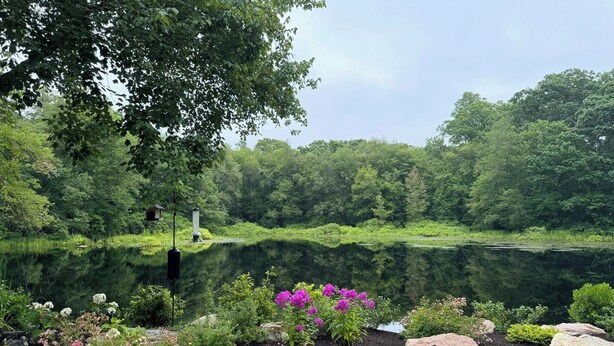 A serene lakeside garden with a stone pathway leading to a bench. - Charming 3-bedroom cottage with WiFi, AC in Rochester (Rochester)