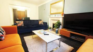 Smart TV, fireplace, books