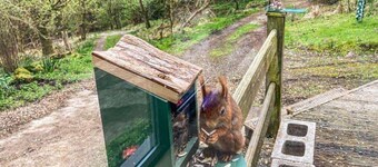 Red Squirrel Haven 2BR House - Sleeps 4 - Parking