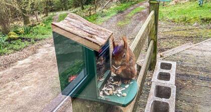 Red Squirrel Haven 2BR House - Sleeps 4 - Parking