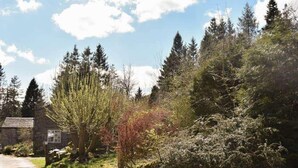 A rustic stone building with a gravel driveway, surrounded by dense forest and tall trees. - Red Squirrel Haven 2BR House - Sleeps 4 - Parking (Hawes)