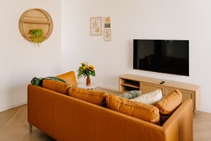 Televisor 
