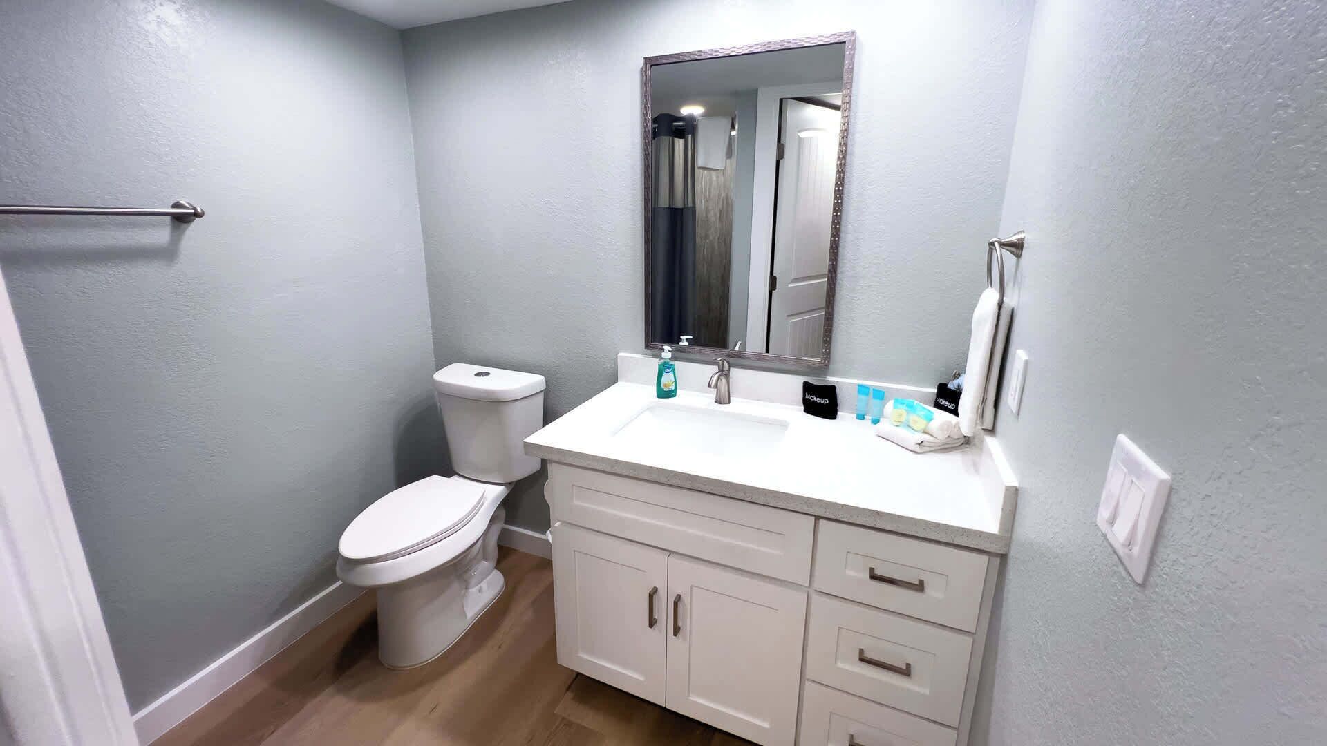 A bathroom with a toilet, sink, and mirror.