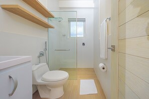Shower, free toiletries, hair dryer, towels