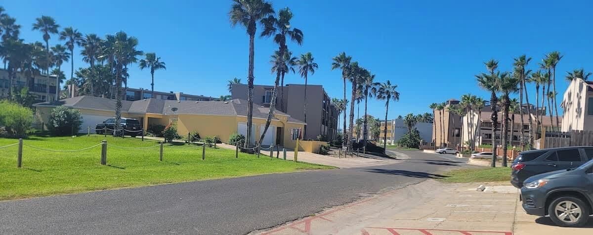 Une rue bordée de palmiers, un parking et des bâtiments en arrière-plan.