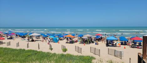 A beach with numerous umbrellas and beach chairs, indicating a public beach setting.