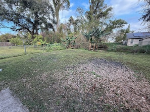 Surrounded by lush trees and vibrant vegetation, this serene backyard offers a peaceful retreat.