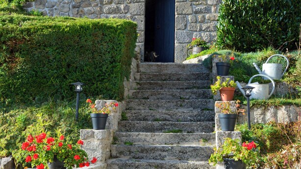 A stone staircase leading to a door, surrounded by potted plants and greenery. - Country cottage La Belle du Clocher - All inclusive (Saint-Pardoux-d'Arnet)
