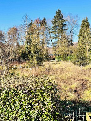 Àrea exterior de l'allotjament