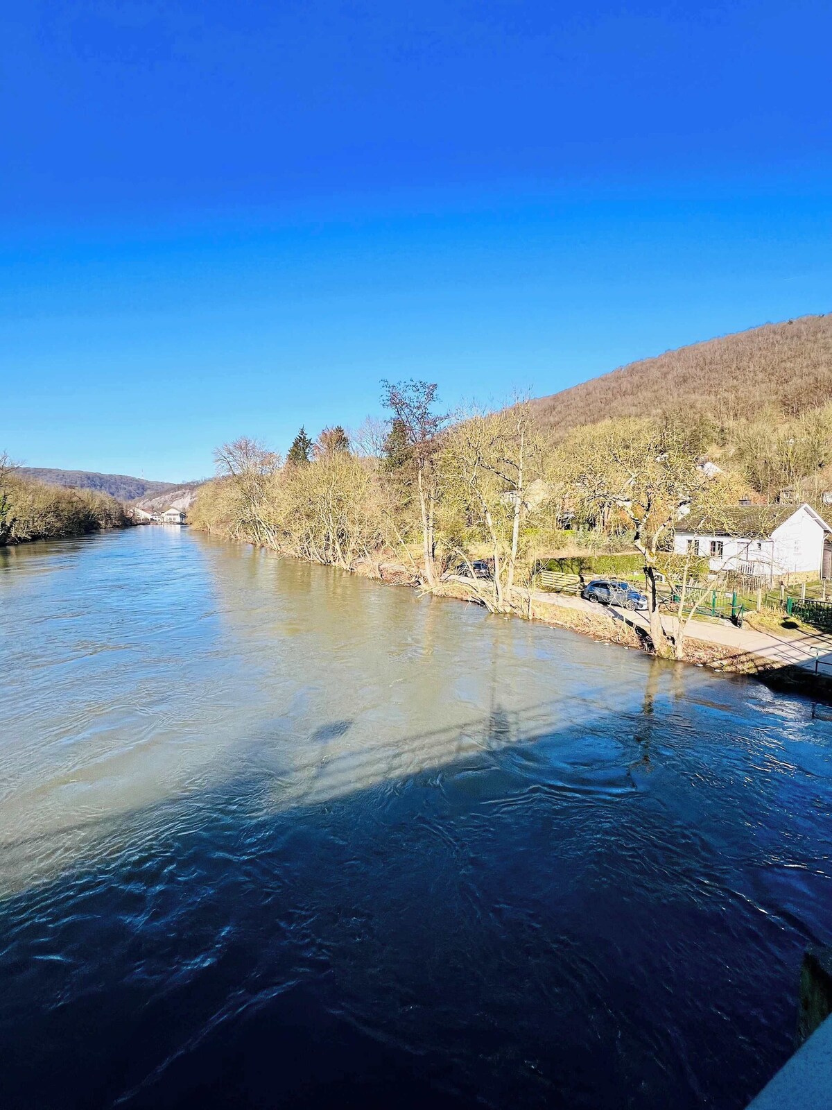 オーナーのプロフィール画像