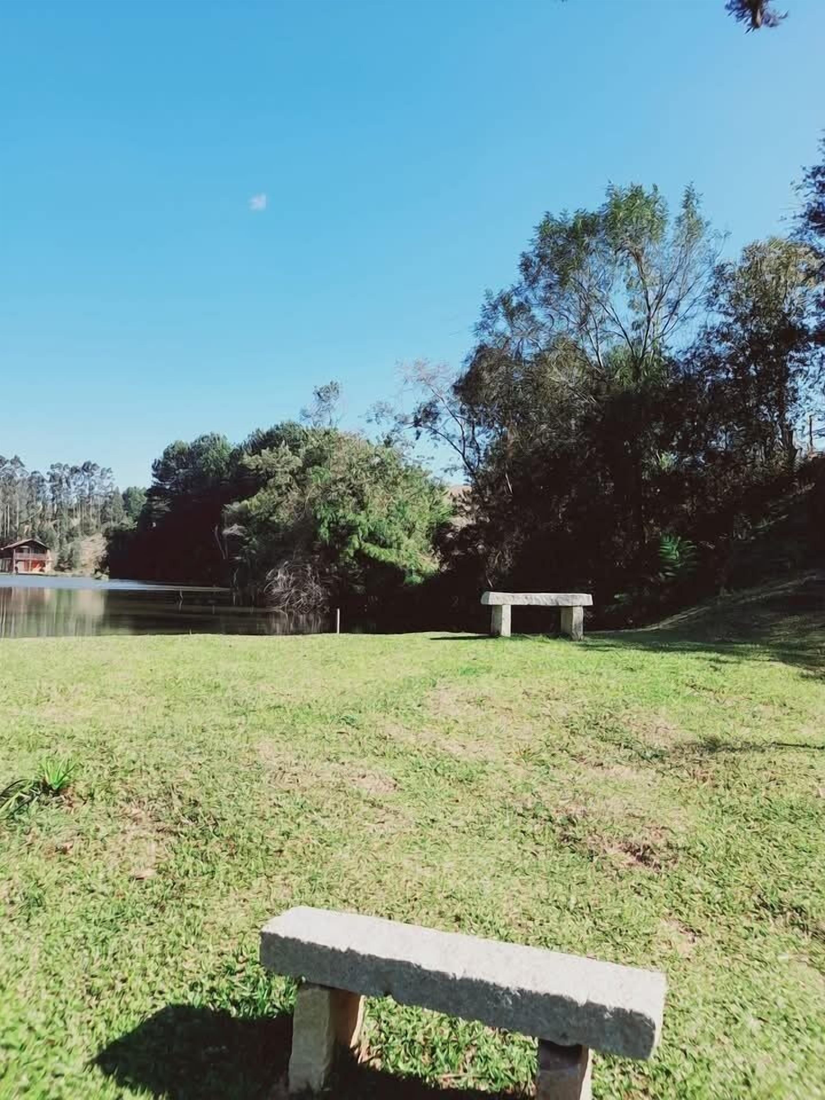Un espacio verde con un banco de piedra, árboles y una masa de agua al fondo.