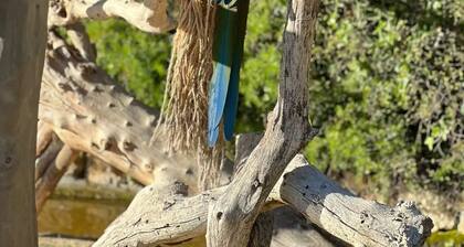 Chalet 4 étoiles - Piscine - ccagfed