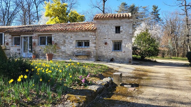 A stone building with a tiled roof, a gravel driveway, and a garden with daffodils. - Cottage rental Gaillac countryside (Técou)