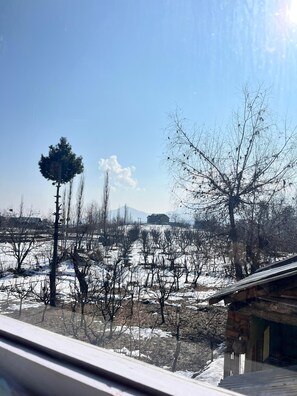 View from property - ''The Himalayan Nest – Comfort, Hospitality & Local Charm Await!" (Sawan)