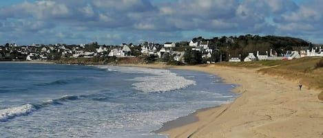 A beach with a sandy shore and a row of houses in the background.