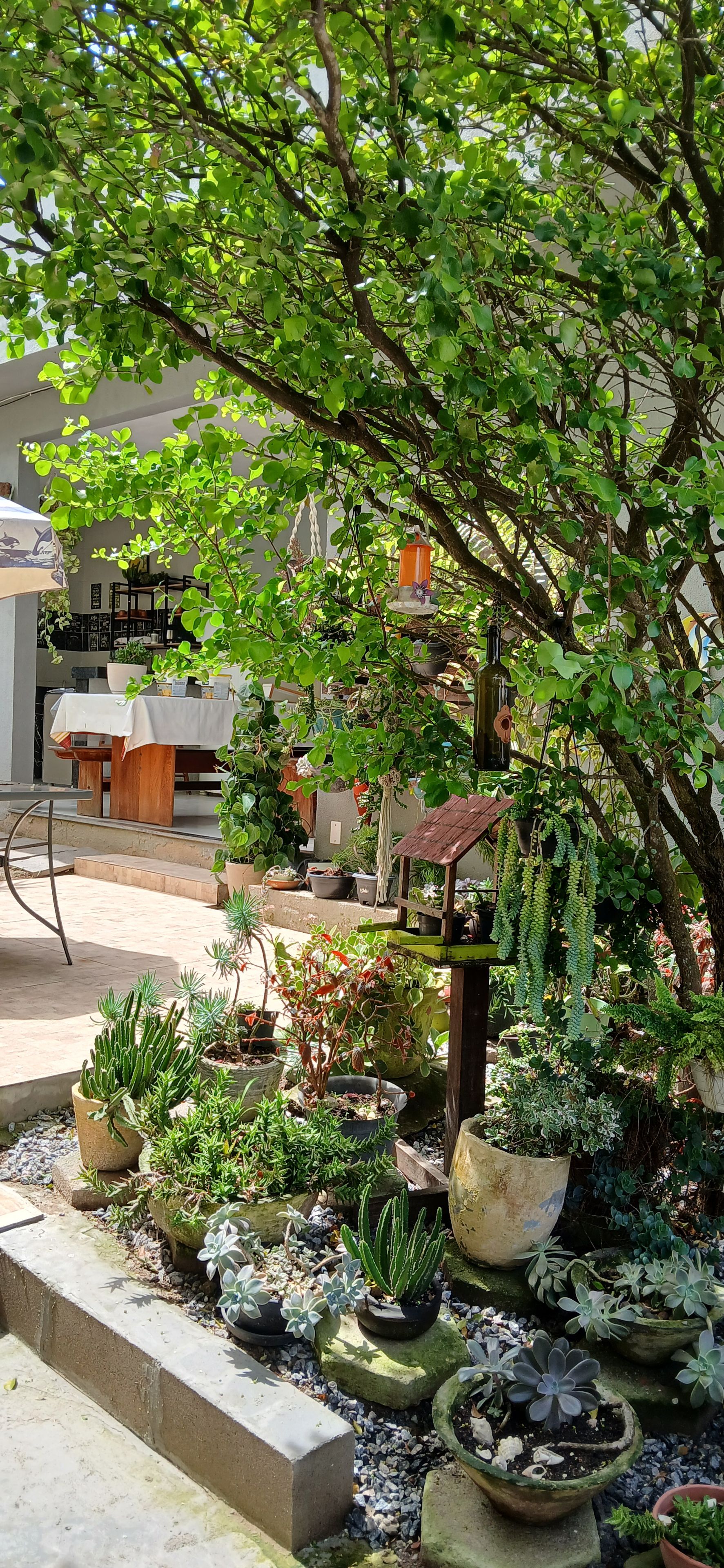 A garden area with various potted plants, a wooden structure, and a table with a white tablecloth.