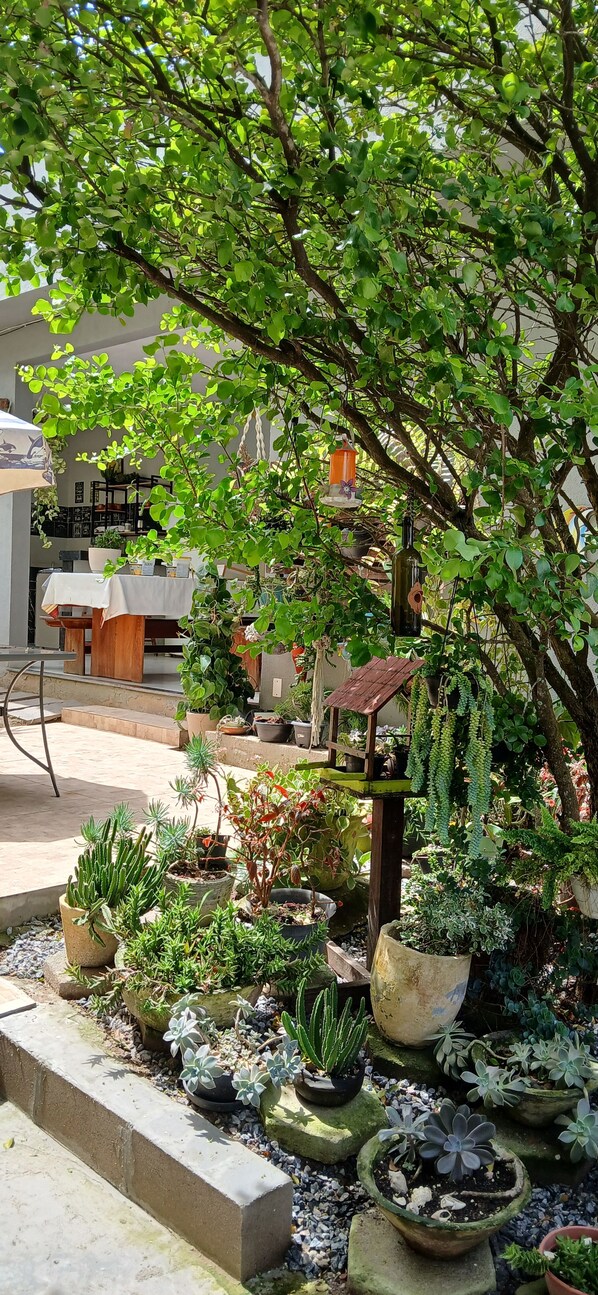 A garden area with various potted plants, a wooden structure, and a table with a white tablecloth.
