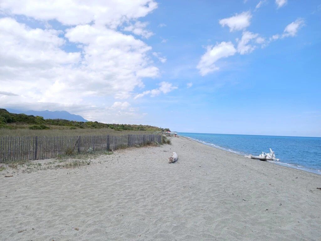 海灘
