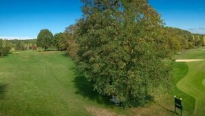 Un campo de golf con un árbol grande al frente, un césped bien cuidado y un cielo despejado.