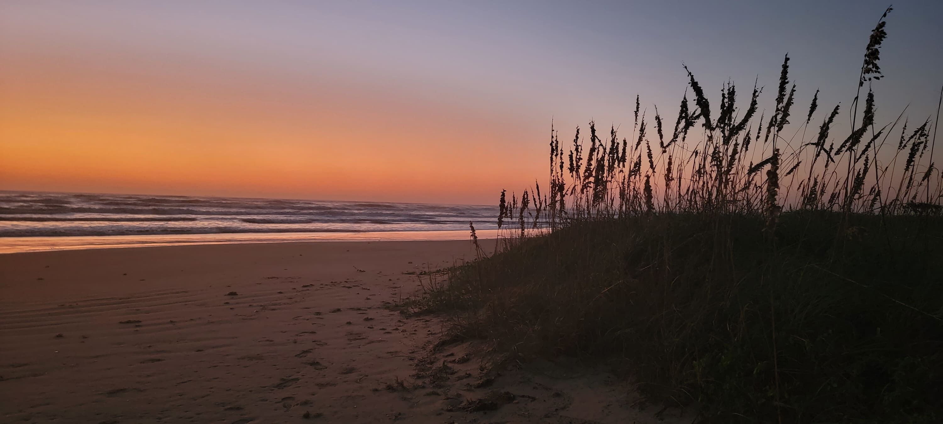Una playa con olas y pastos altos al atardecer.