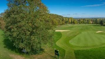 Een golfbaan met een grote boom op de voorgrond, een verzorgd gazon en een heldere lucht.