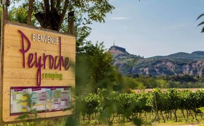 Ein hölzernes Schild mit der Aufschrift 'Bienvenue Peyrouse' und einer Karte, vor der Kulisse eines Weinbergs mit Hügeln.