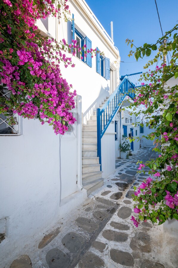 A narrow stone-paved street flanked by white buildings with blue accents, leading to a staircase.