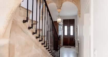 Spacious Albigensian mansion 5 pers + private patio