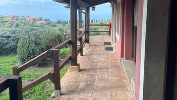 Vista desde la habitación