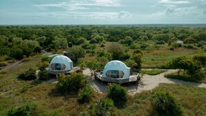 Dos estructuras en forma de cúpula con pasarelas de madera, rodeadas de abundante follaje y un extenso paisaje al fondo.