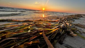 A beach with seaweed on the sand and the sun setting in the background. - Coastal Dreamer-Family Friendly, 2 Kitchens, Golf Cart Included, Close to Beach (Port St. Joe)