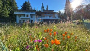 Ein modernes, zweistöckiges Gebäude mit flachem Dach und großen Fenstern, umgeben von einer Wiese mit Wildblumen und hohen Bäumen.