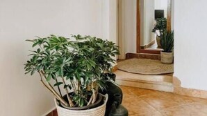 Un pasillo con una planta grande en maceta, un espejo y suelo de baldosas.