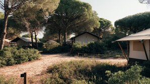 A campsite with several wooden cabins surrounded by dense trees and greenery. - wecamp Cádiz (Puerto Real)