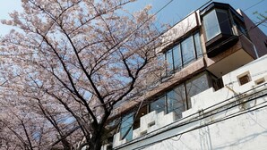 A multi-story building with large windows and a tree with pink blossoms in the foreground. - UNDER CURRENT ATAMI | Private Villa with Hot Springs & Fireworks View (熱海市)
