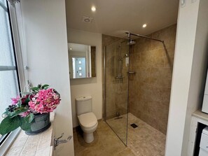 Shower, hair dryer, towels, soap - Suzetta fabulous holiday home, quietly central, private parking, pet friendly (Seaview)