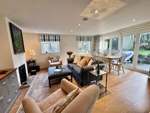 Smart TV, fireplace, books