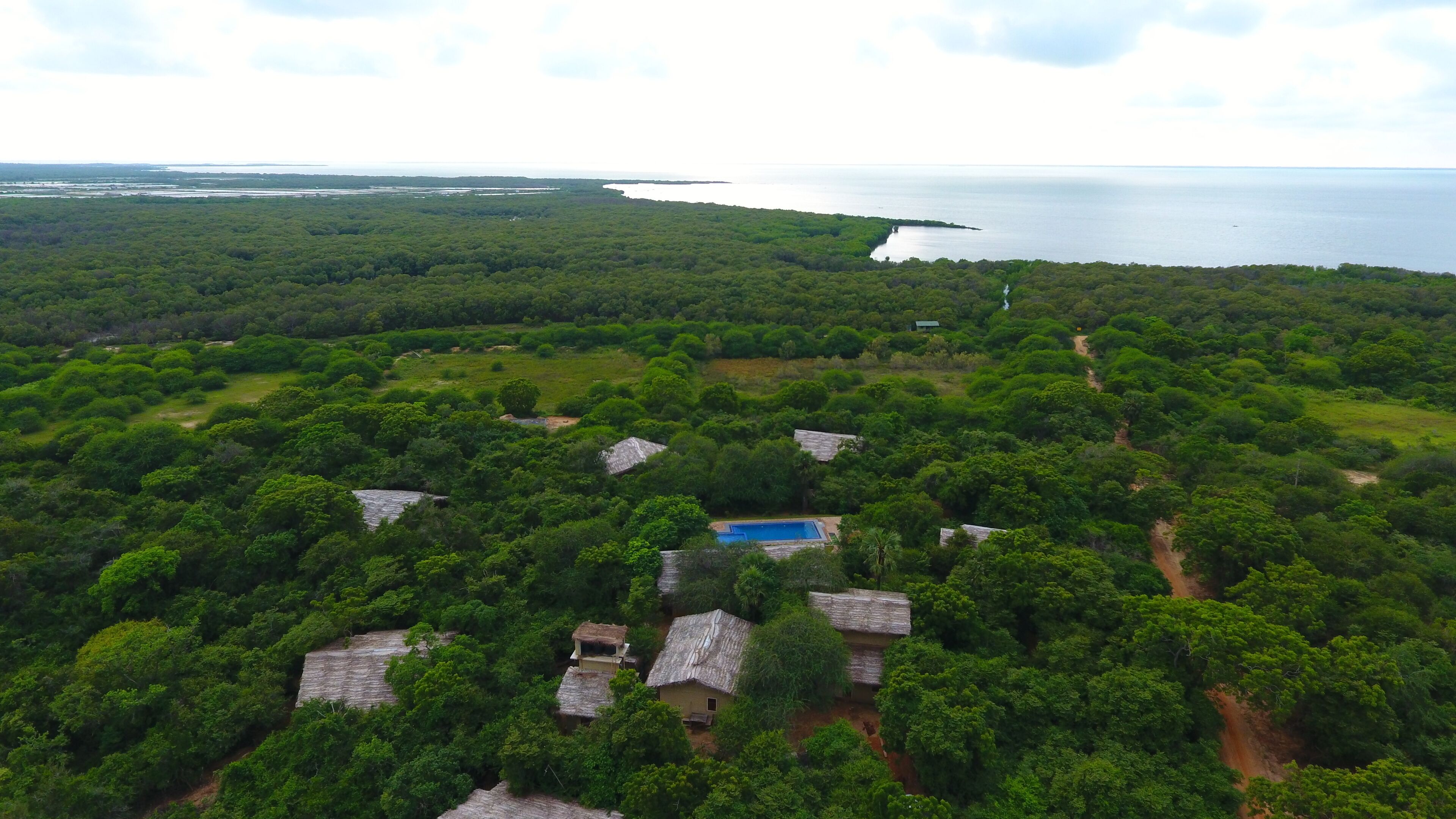 An aerial view of a tropical resort with multiple thatched-roof cottages, a central swimming pool, and a backdrop of dense forest and a large body of water.