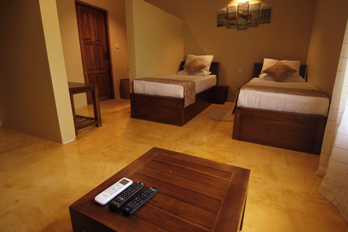 Une chambre avec deux lits simples, une table en bois avec des télécommandes, une chaise en bois et un luminaire fixé au mur.