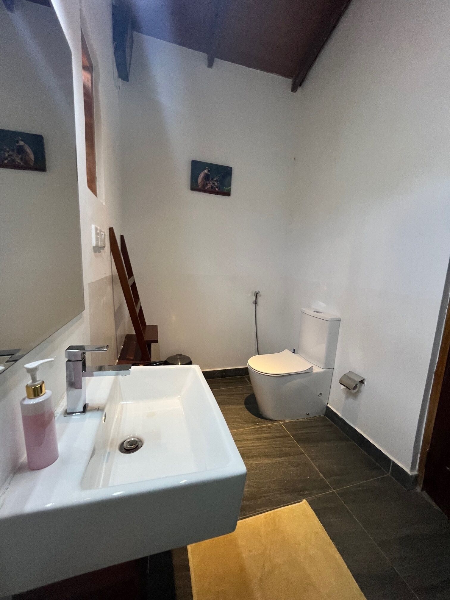 Une salle de bain avec un lavabo blanc, un miroir, des toilettes et un espace douche.