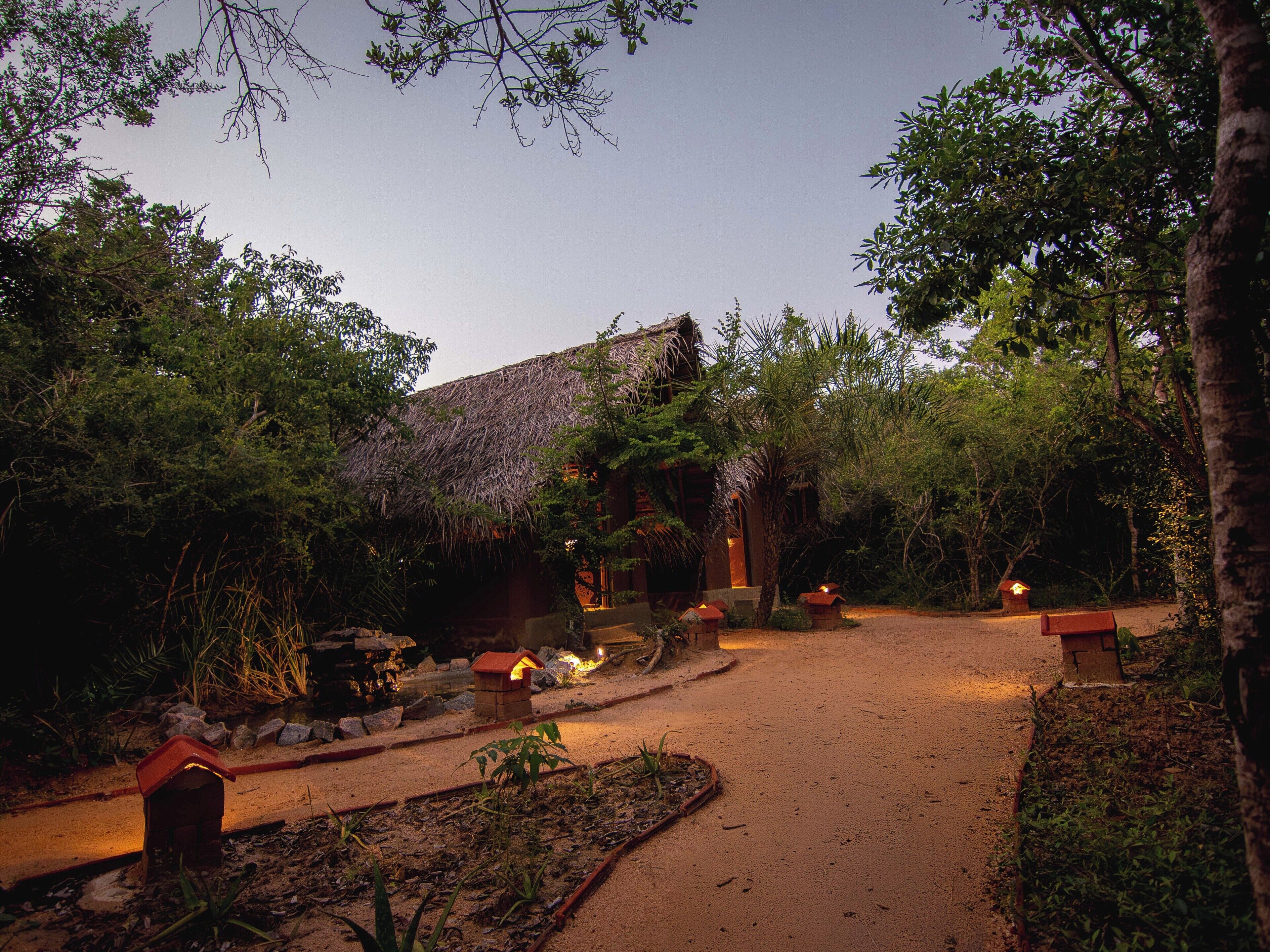 Deep-tissue massages, Ayurvedic treatments