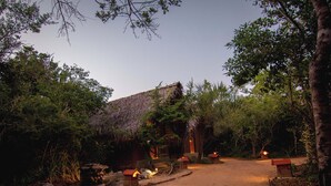 A rustic building with a thatched roof, surrounded by dense foliage and a gravel path. - Cloud Nine Lanka Resort Wilpattu (Wilpattu)