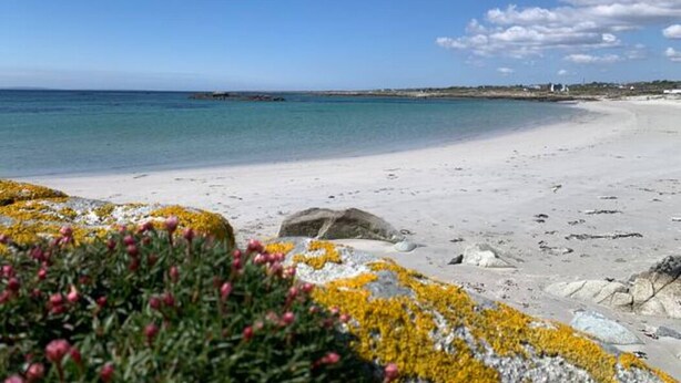 Una playa con agua azul cristalina, orilla arenosa y algunas rocas con flores amarillas y rosas en primer plano.